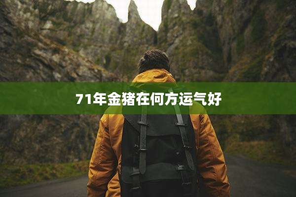 71年金猪在何方运气好