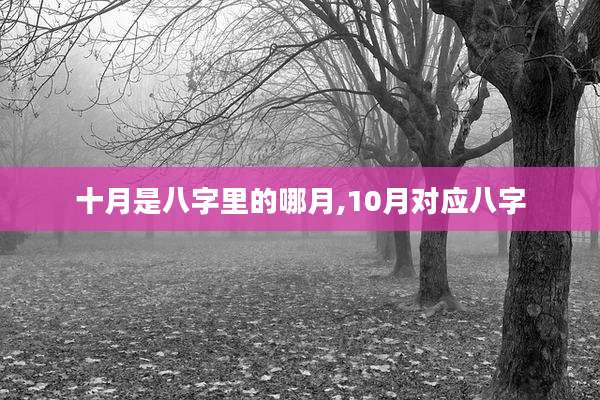 十月是八字里的哪月,10月对应八字