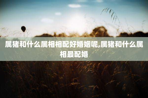 属猪和什么属相相配好婚姻呢,属猪和什么属相最配婚