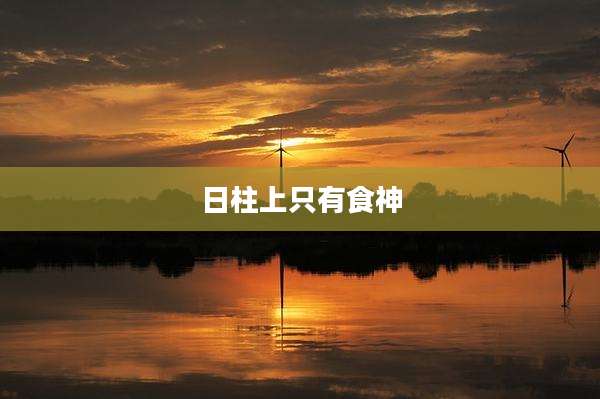 日柱上只有食神