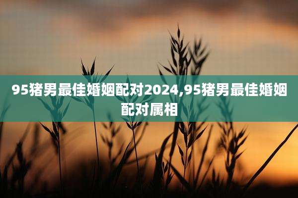 95猪男最佳婚姻配对2024,95猪男最佳婚姻配对属相