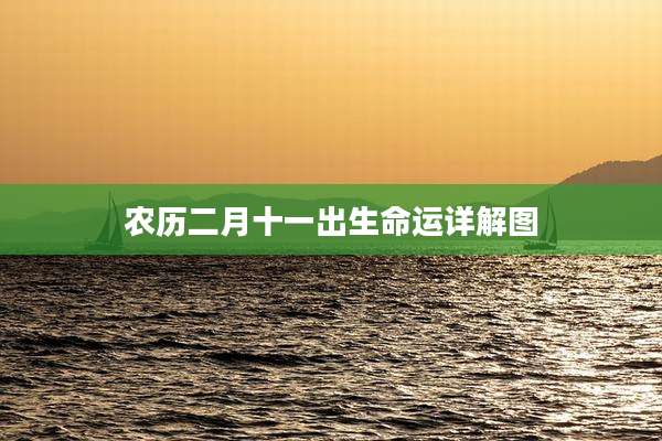 农历二月十一出生命运详解图