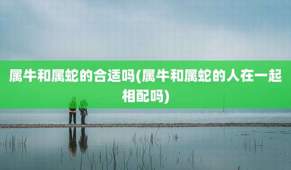 属牛和属蛇的合适吗(属牛和属蛇的人在一起相配吗)