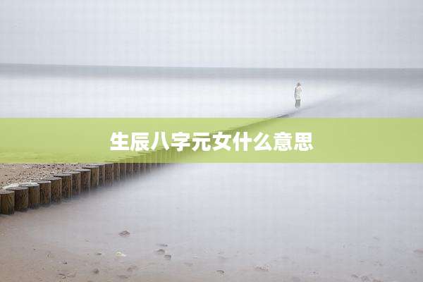生辰八字元女什么意思