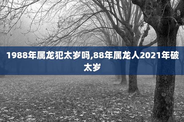 1988年属龙犯太岁吗,88年属龙人2021年破太岁