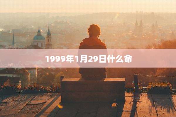 1999年1月29日什么命
