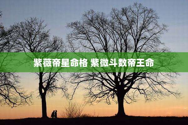 紫薇帝星命格 紫微斗数帝王命