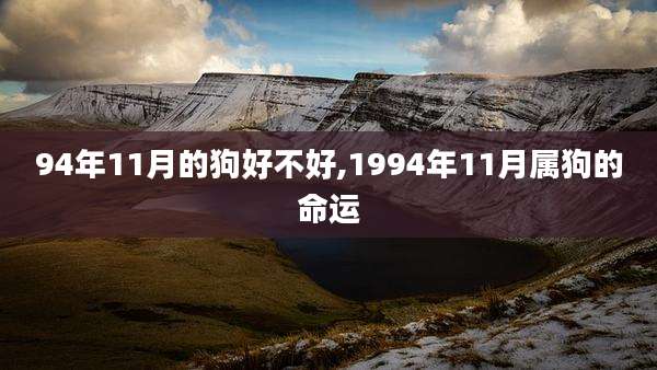 94年11月的狗好不好,1994年11月属狗的命运