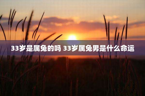 33岁是属兔的吗 33岁属兔男是什么命运