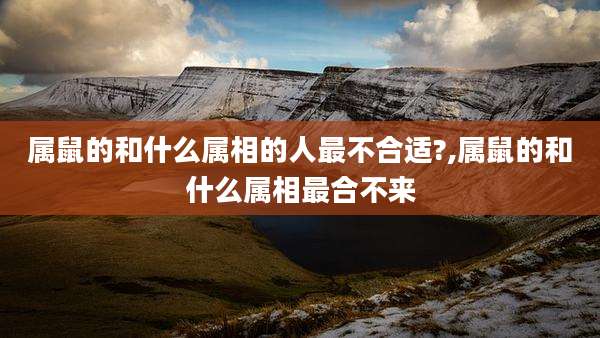 属鼠的和什么属相的人最不合适?,属鼠的和什么属相最合不来