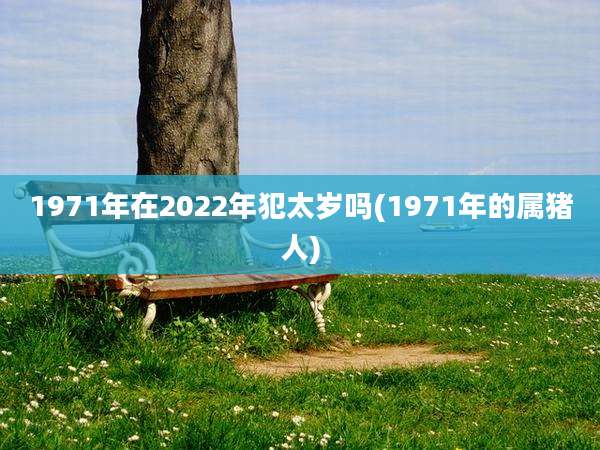 1971年在2022年犯太岁吗(1971年的属猪人)