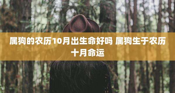 属狗的农历10月出生命好吗 属狗生于农历十月命运