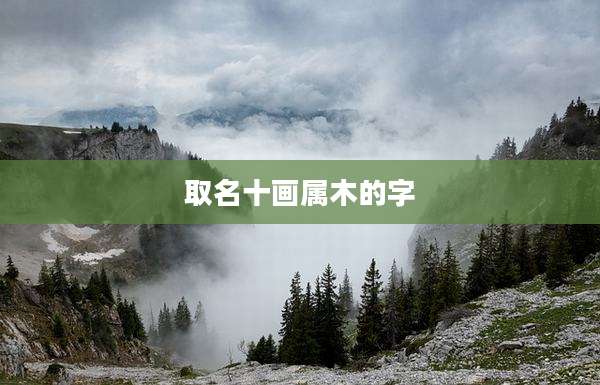 取名十画属木的字