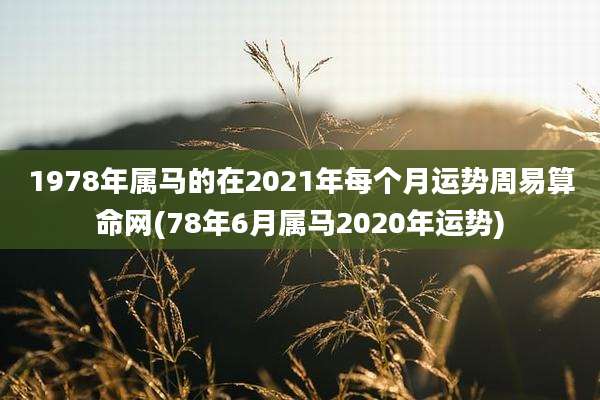 1978年属马的在2021年每个月运势周易算命网(78年6月属马2020年运势)