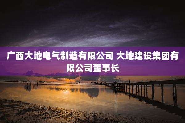 广西大地电气制造有限公司 大地建设集团有限公司董事长