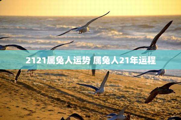 2121属兔人运势 属兔人21年运程