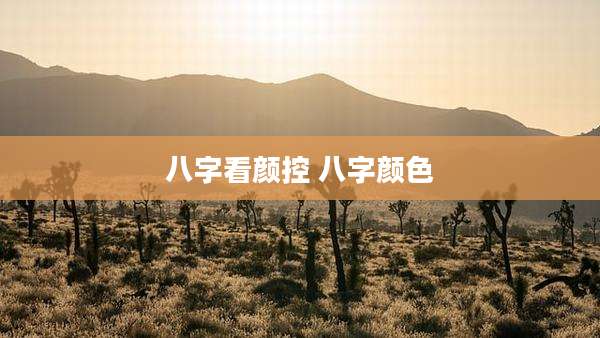 八字看颜控 八字颜色