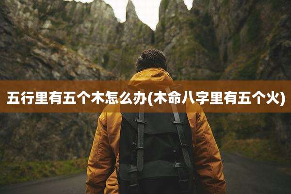 五行里有五个木怎么办(木命八字里有五个火)