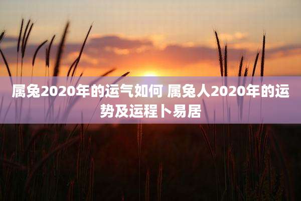 属兔2020年的运气如何 属兔人2020年的运势及运程卜易居