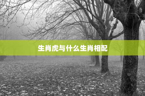 生肖虎与什么生肖相配