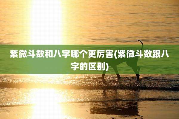 紫微斗数和八字哪个更厉害(紫微斗数跟八字的区别)