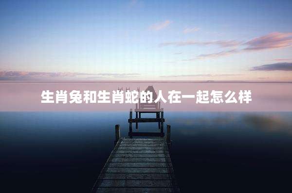 生肖兔和生肖蛇的人在一起怎么样