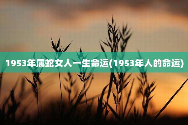 1953年属蛇女人一生命运(1953年人的命运)