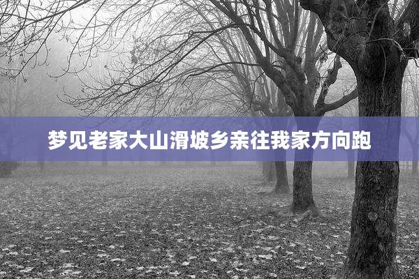 梦见老家大山滑坡乡亲往我家方向跑