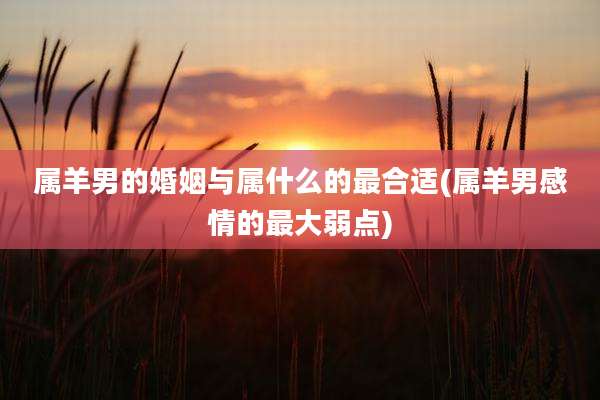 属羊男的婚姻与属什么的最合适(属羊男感情的最大弱点)