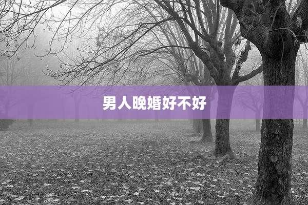 男人晚婚好不好