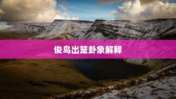 俊鸟出笼卦象解释