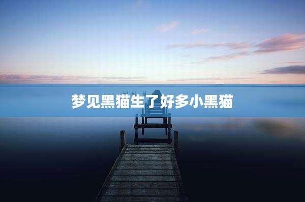 梦见黑猫生了好多小黑猫