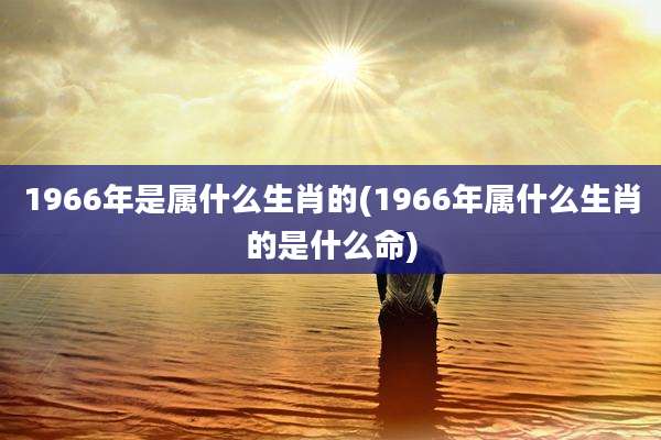 1966年是属什么生肖的(1966年属什么生肖的是什么命)
