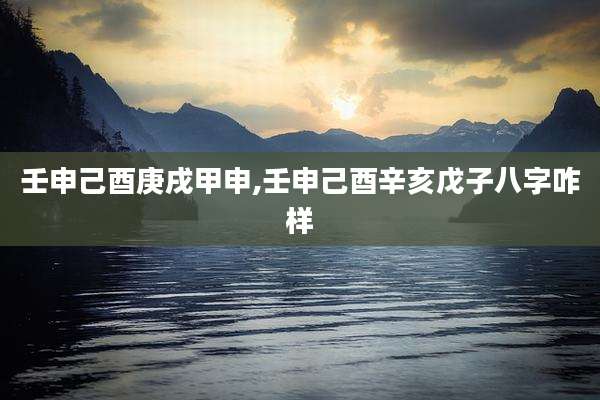 壬申己酉庚戌甲申,壬申己酉辛亥戊子八字咋样
