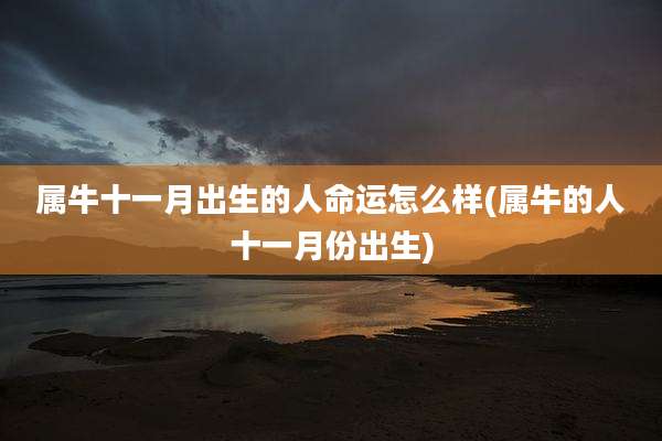 属牛十一月出生的人命运怎么样(属牛的人十一月份出生)