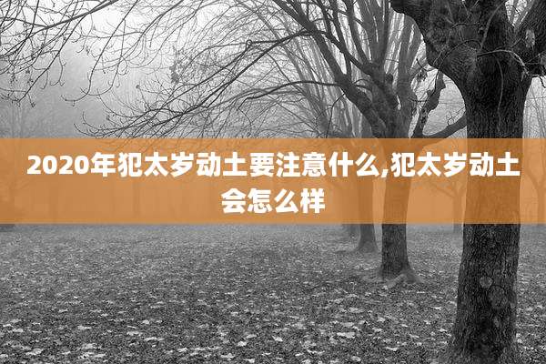 2020年犯太岁动土要注意什么,犯太岁动土会怎么样