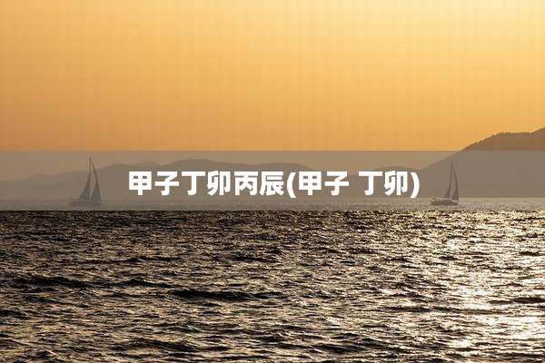 甲子丁卯丙辰(甲子 丁卯)