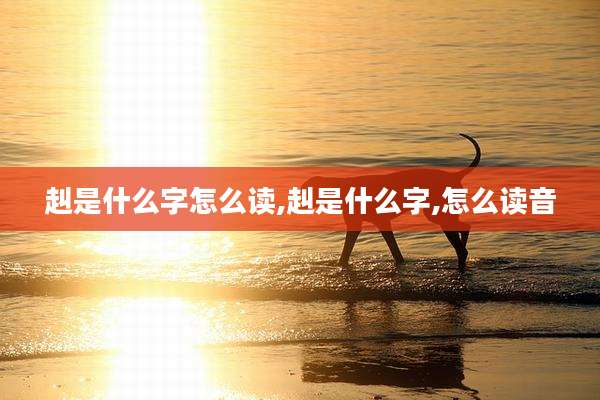 赳是什么字怎么读,赳是什么字,怎么读音