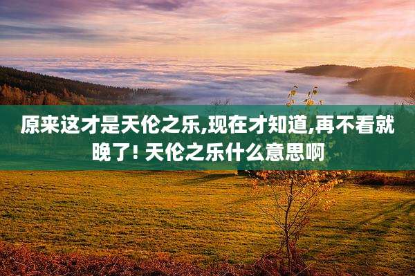 原来这才是天伦之乐,现在才知道,再不看就晚了! 天伦之乐什么意思啊