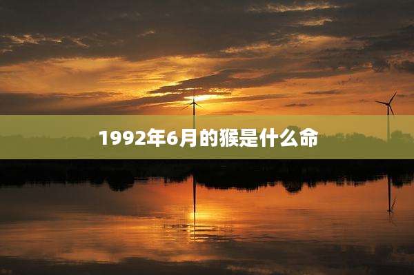 1992年6月的猴是什么命