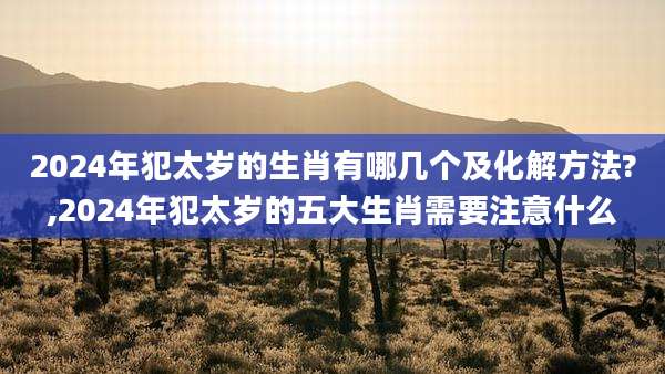 2024年犯太岁的生肖有哪几个及化解方法?,2024年犯太岁的五大生肖需要注意什么