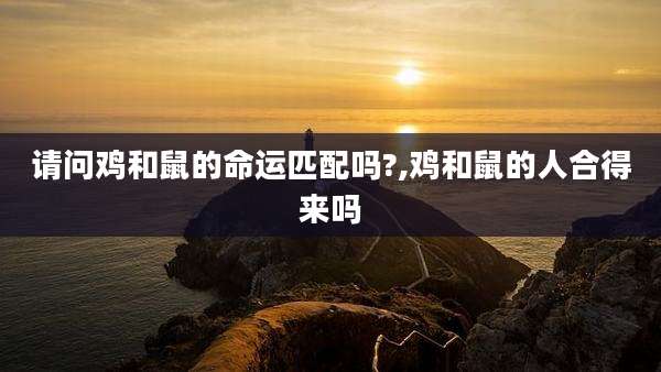 请问鸡和鼠的命运匹配吗?,鸡和鼠的人合得来吗