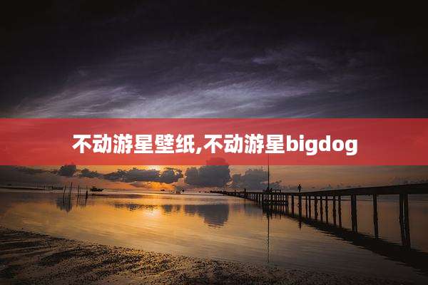 不动游星壁纸,不动游星bigdog