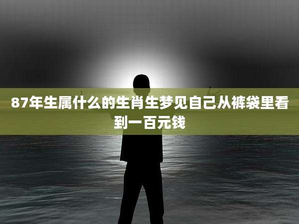 87年生属什么的生肖生梦见自己从裤袋里看到一百元钱