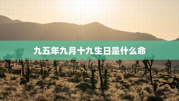 九五年九月十九生日是什么命