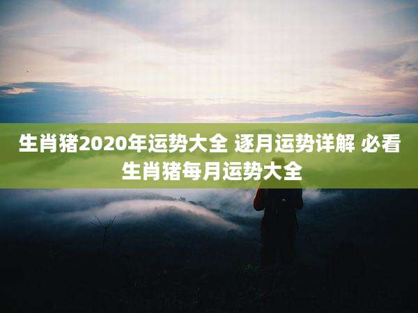 生肖猪2020年运势大全 逐月运势详解 必看 生肖猪每月运势大全