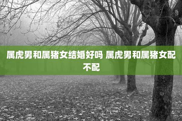 属虎男和属猪女结婚好吗 属虎男和属猪女配不配