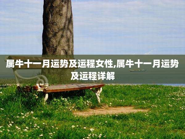 属牛十一月运势及运程女性,属牛十一月运势及运程详解