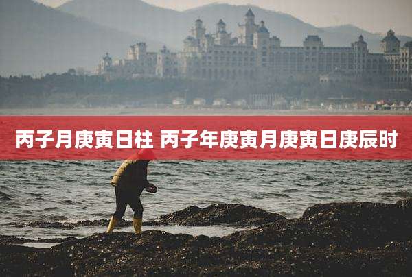 丙子月庚寅日柱 丙子年庚寅月庚寅日庚辰时