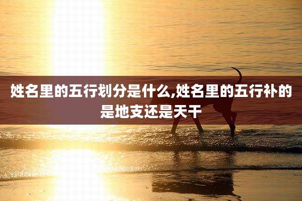 姓名里的五行划分是什么,姓名里的五行补的是地支还是天干